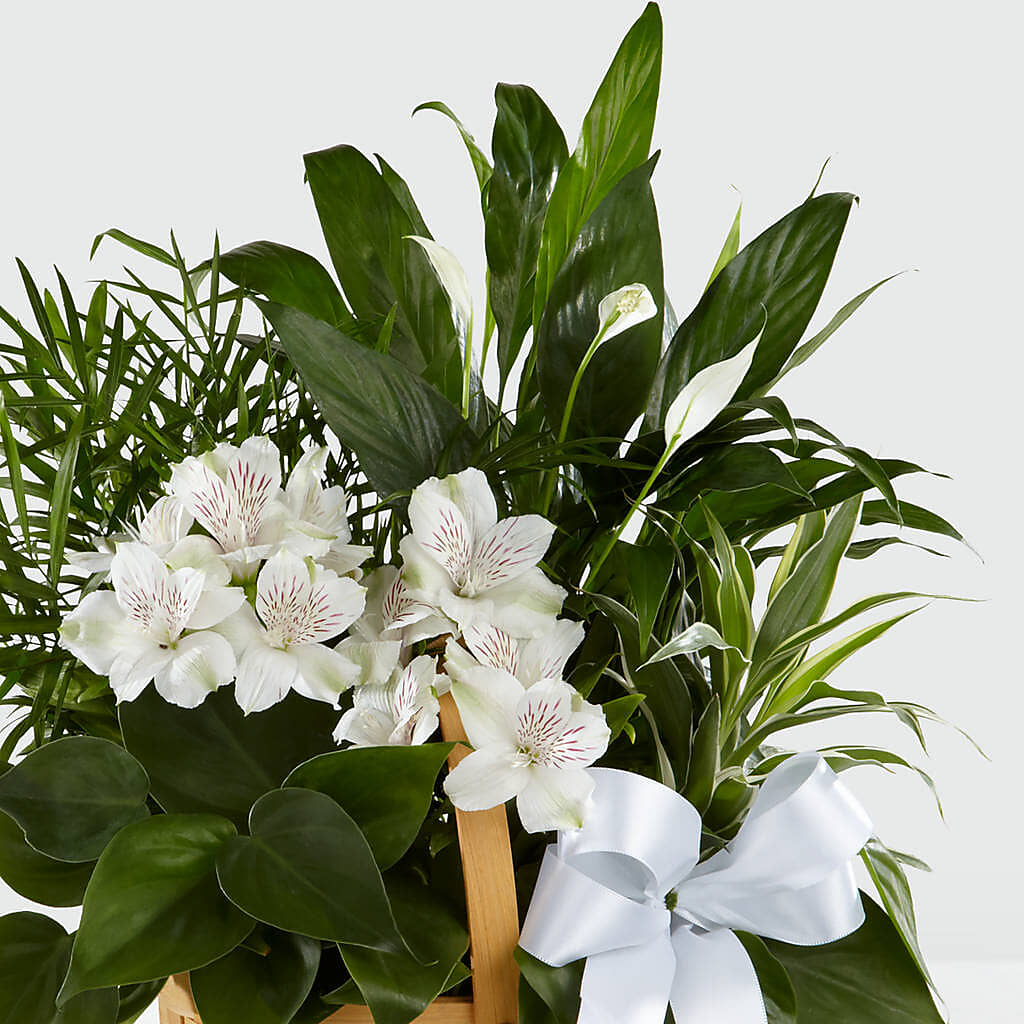 Peace & Serenity Dishgarden – Baldwin Park Florist, Baldwin Park CA