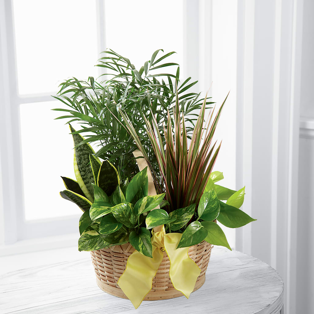 French Garden – Baldwin Park Florist, Baldwin Park CA