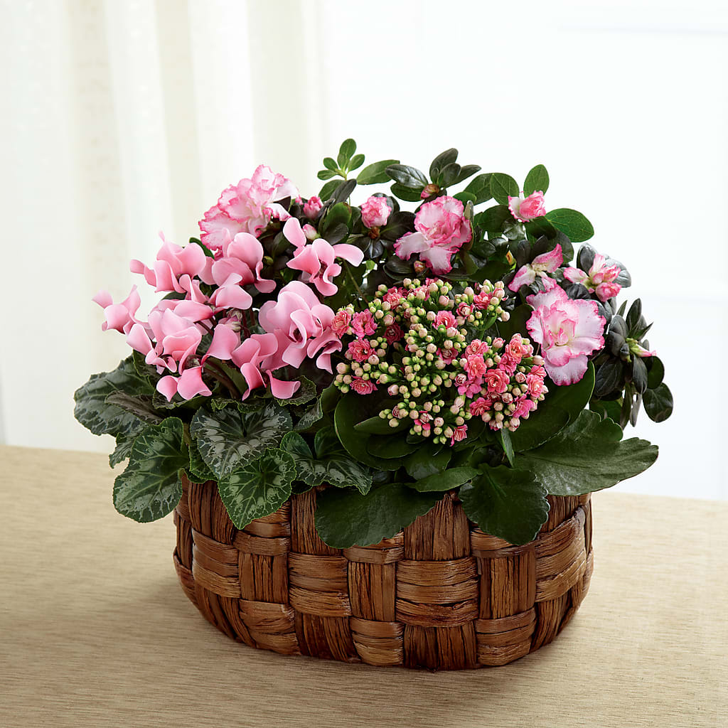 Pink Assortment – Baldwin Park Florist, Baldwin Park CA
