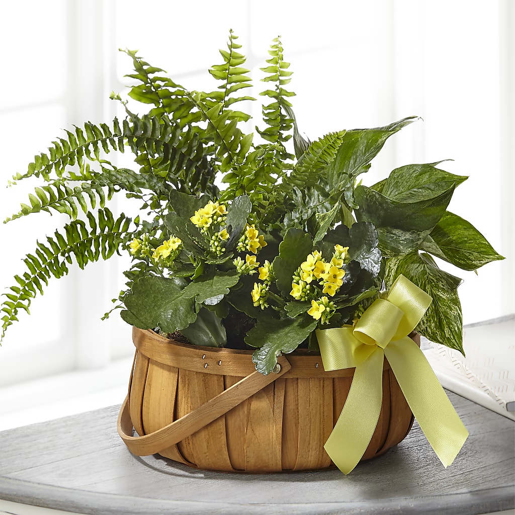 Always Dear Dishgarden – Baldwin Park Florist, Baldwin Park CA