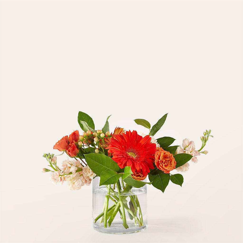 Paloma Please Bouquet – Baldwin Park Florist, Baldwin Park CA