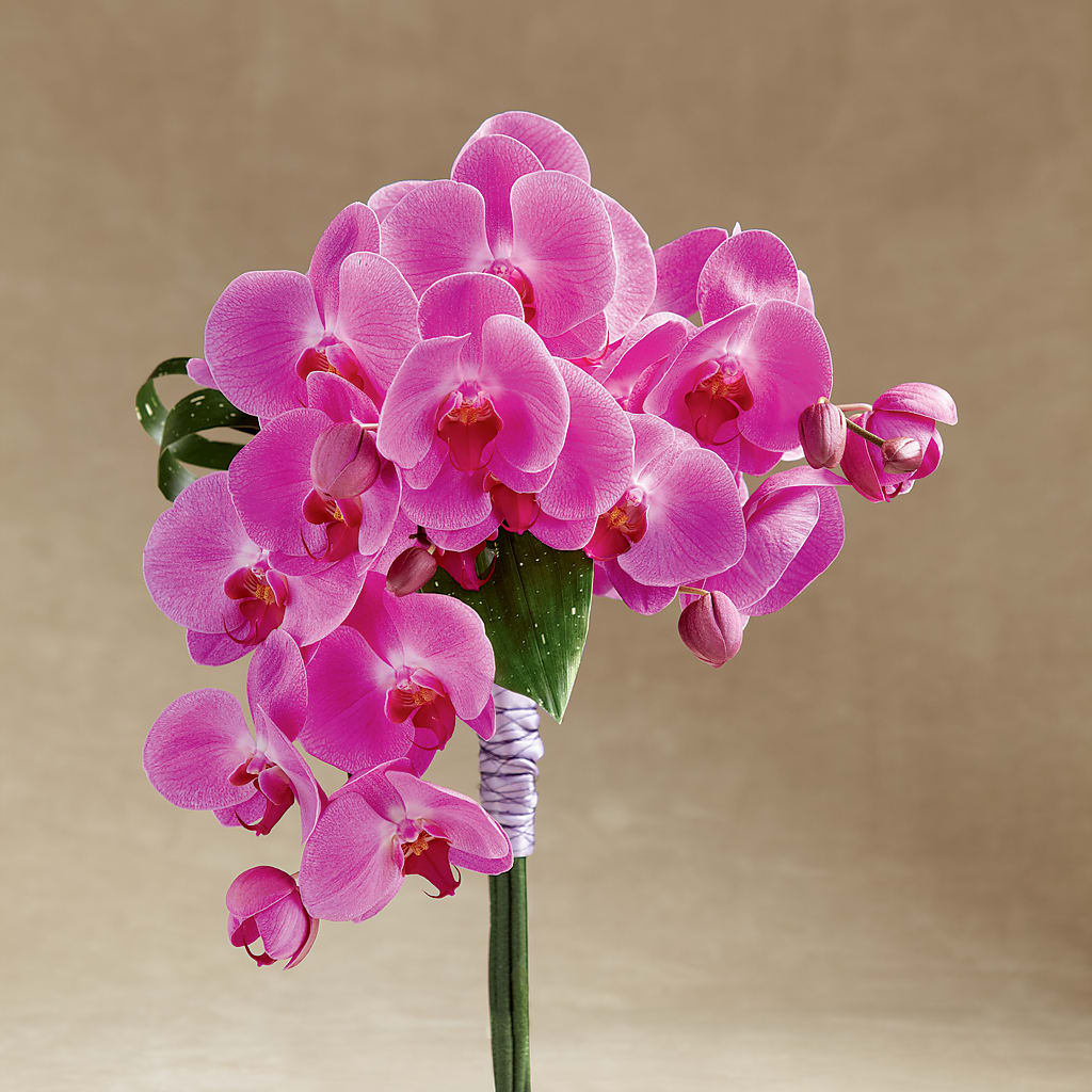 Glorious Bouquet – Baldwin Park Florist, Baldwin Park CA