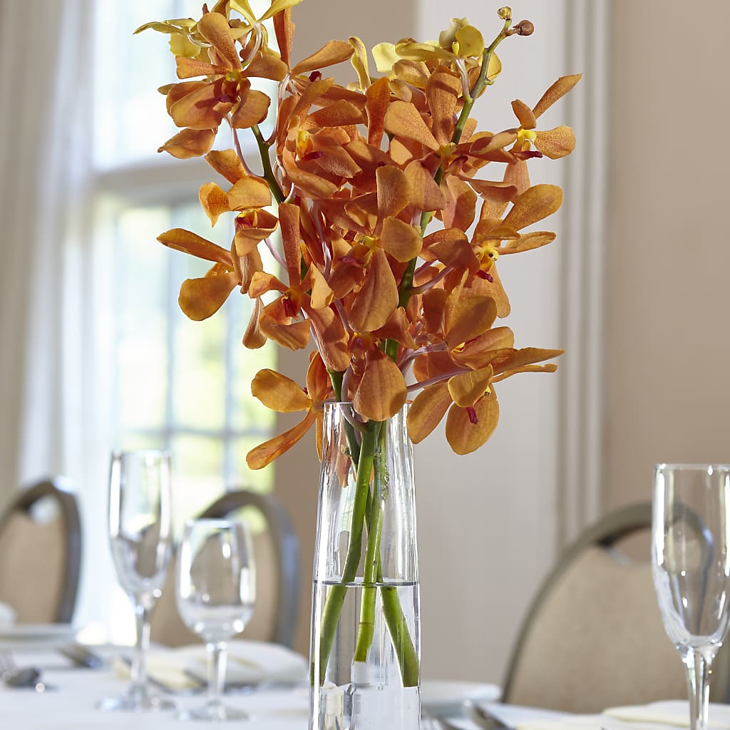 Orange Mokara Bud Vase – Baldwin Park Florist, Baldwin Park CA