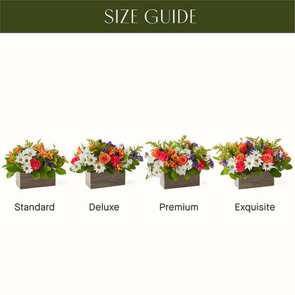 Oopsie Daisy Box Bouquet –  Baldwin Park Florist, Baldwin Park CA