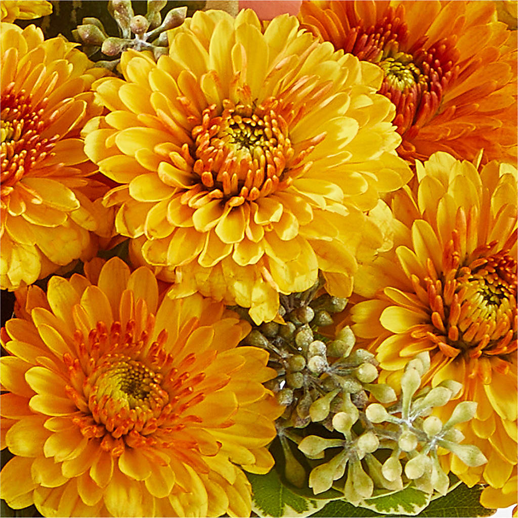 Peachy Pumpkin –  Baldwin Park Florist, Baldwin Park CA