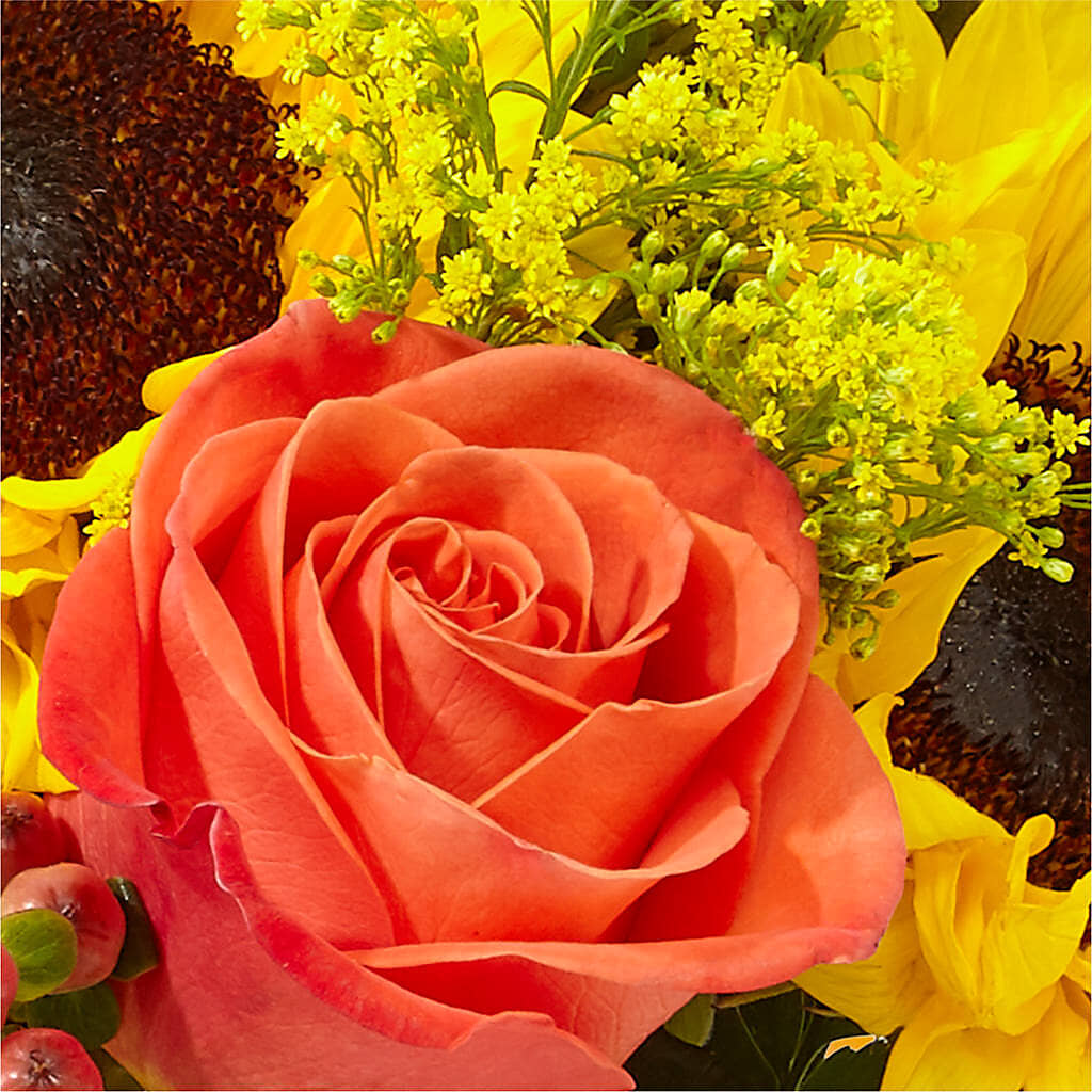Pick of the Patch Pumpkin Bouquet –  Baldwin Park Florist, Baldwin Park CA