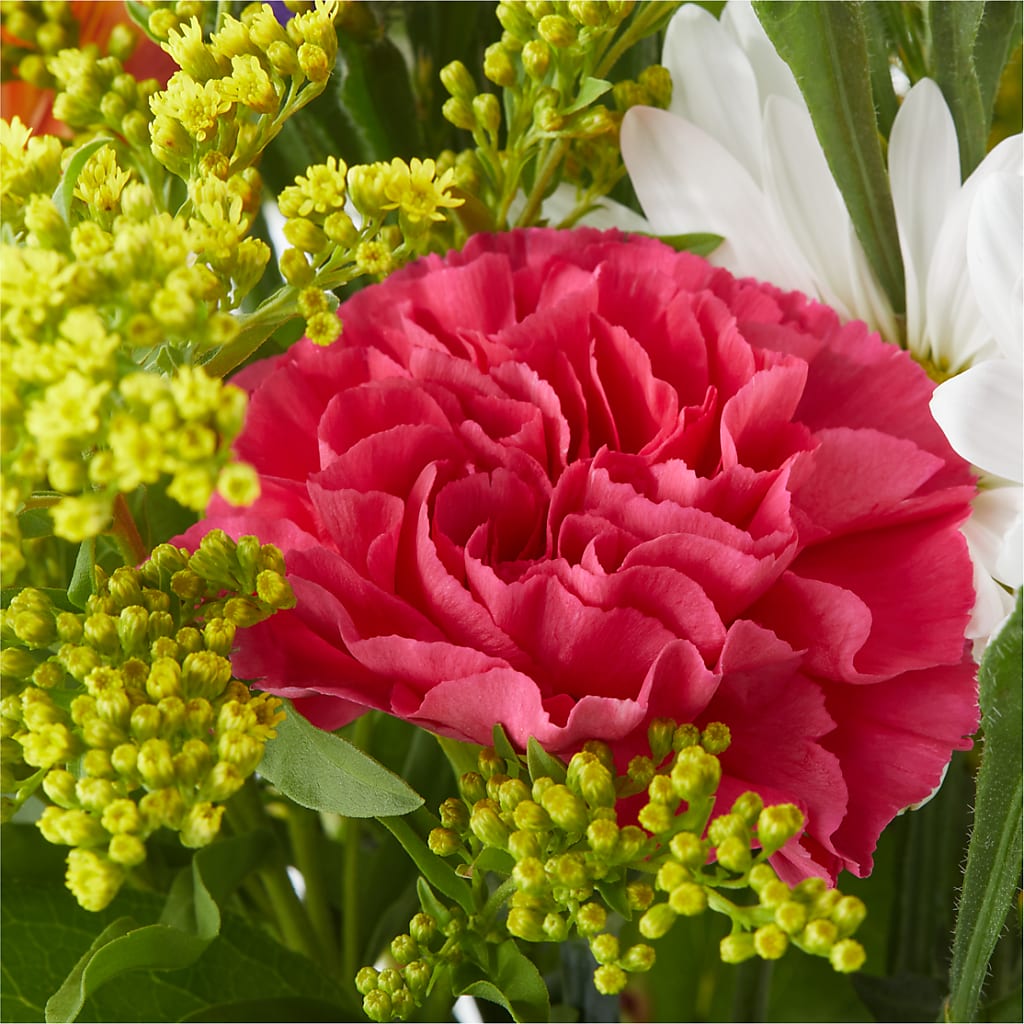 Oopsie Daisy Bouquet –  Baldwin Park Florist, Baldwin Park CA