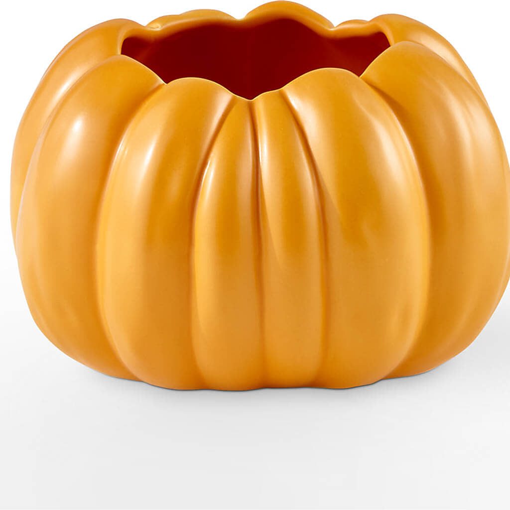 Pick of the Patch Pumpkin Bouquet –  Baldwin Park Florist, Baldwin Park CA