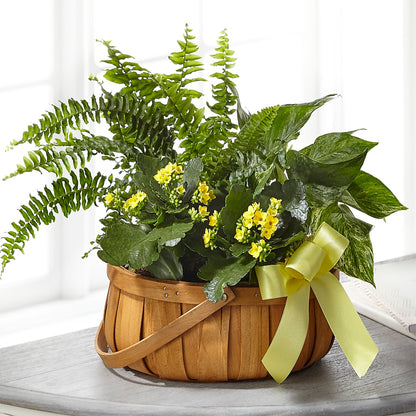Always Dear Dishgarden –  Baldwin Park Florist, Baldwin Park CA