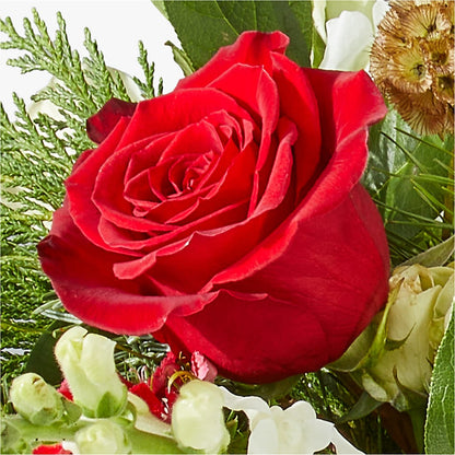 Deck the Halls Bouquet –  Baldwin Park Florist, Baldwin Park CA